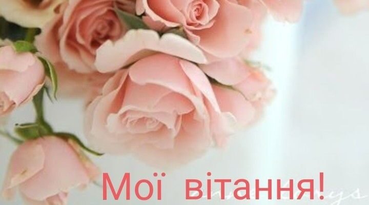 Люба моя половиночка, сьогодні ми відзначаємо нашу першу річницю