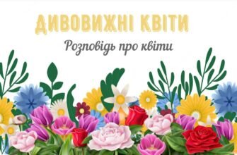 Любов подібна до квітки. Чим вона гарніше