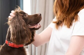 Легеневі глисти у собак