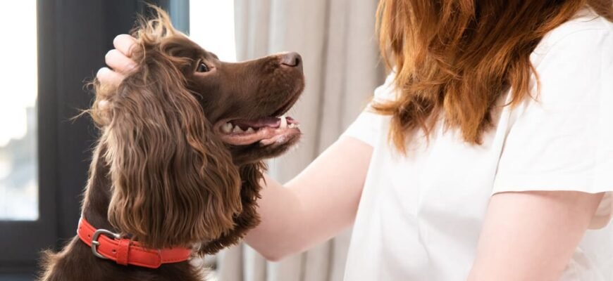 Легеневі глисти у собак