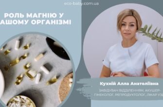Магістральні судини: що це таке та їхня роль в нашому організмі