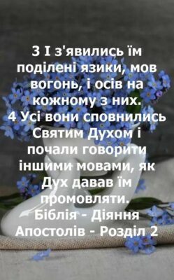 Мама — це наш ангел-охоронитель, наш дім, наш всесвіт