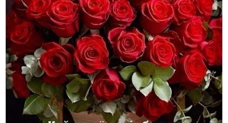 Мамо, моя рідна, вітаю з днем народження!