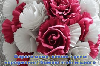 Мамина радість, вітаю з Днем народження!