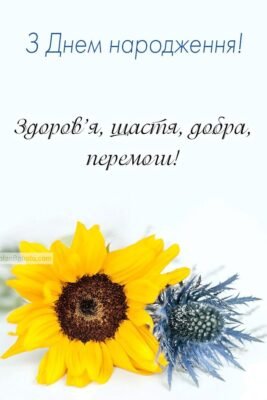 Матуся, у тебе сьогодні ювілей. В цей день хочу побажати тобі Матуся, у тебе сьогодні ювілей. В цей день хочу побажати тобі