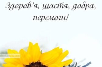 Матуся, у тебе сьогодні ювілей. В цей день хочу побажати тобі