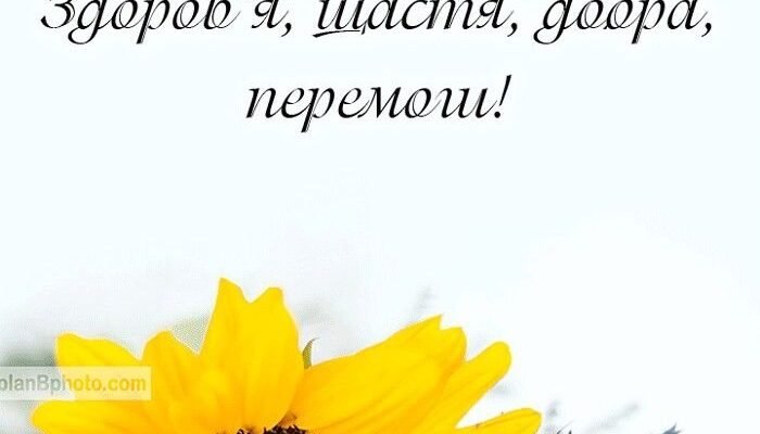 Матуся, у тебе сьогодні ювілей. В цей день хочу побажати тобі