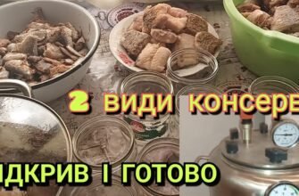 Як самостійно приготувати рибну консерву в автоклаві: покрокова інструкція