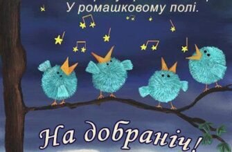 Мчав до вас крізь кучугури та негоду, щоб у новорічну ніч подарувати справжню казку!