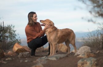 Породи собак середнього розміру