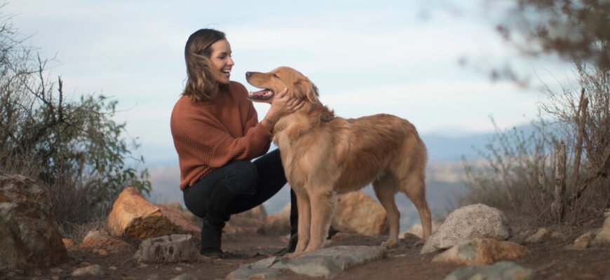 Породи собак середнього розміру
