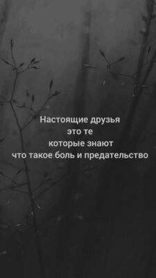 Мій друг! Наша дружба — це саме чисте, що є в моєму житті
