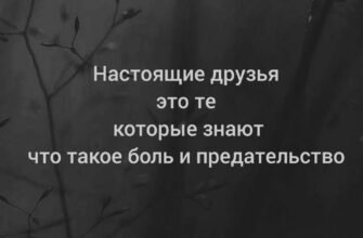 Мій друг! Наша дружба — це саме чисте, що є в моєму житті