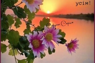 Мій коханий, добраніч! Нехай тобі насниться чарівна мрія