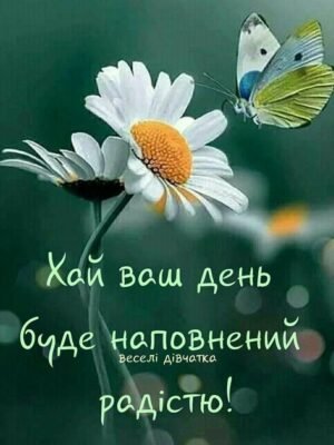 Мій коханий і найдорожчий, бажаю тобі чудового настрою