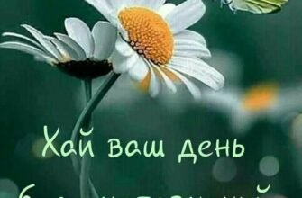 Мій коханий і найдорожчий, бажаю тобі чудового настрою