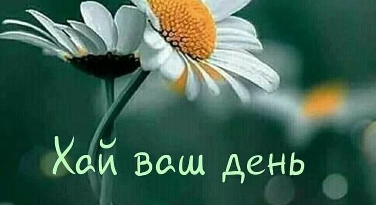 Мій коханий і найдорожчий, бажаю тобі чудового настрою