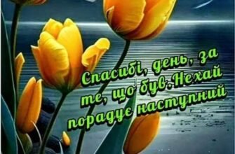 Мій ніжний поцілунок несе тобі побажання доброї ночі
