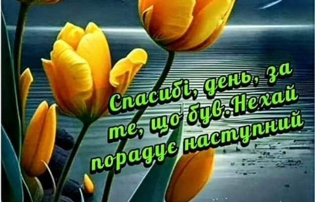 Мій ніжний поцілунок несе тобі побажання доброї ночі