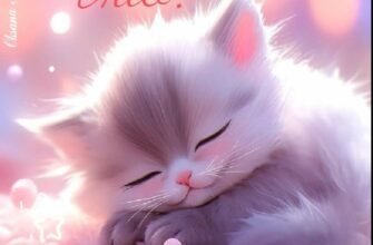 Мій солодкий, добраніч! Нехай ніч подарує тобі приємні сни