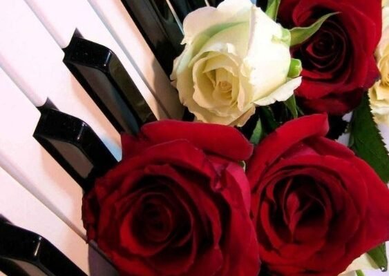 Мої дорогі друзі, вип’ємо за вас! Найбільш відданих, справжніх друзів