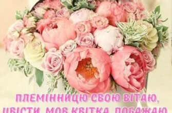 Моя чудова племіннице, з Днем народження тебе!