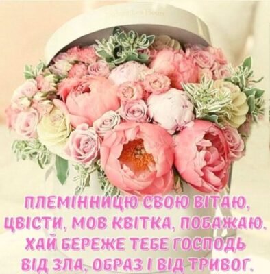 Моя чудова племіннице, з Днем народження тебе!