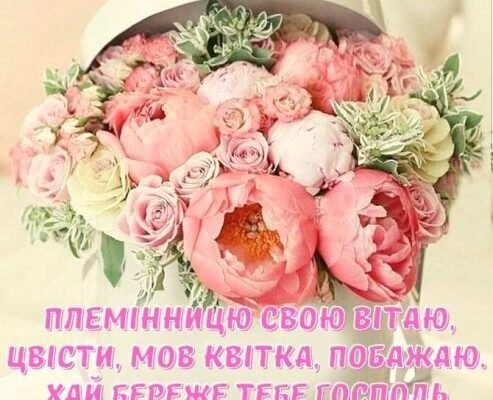 Моя чудова племіннице, з Днем народження тебе!