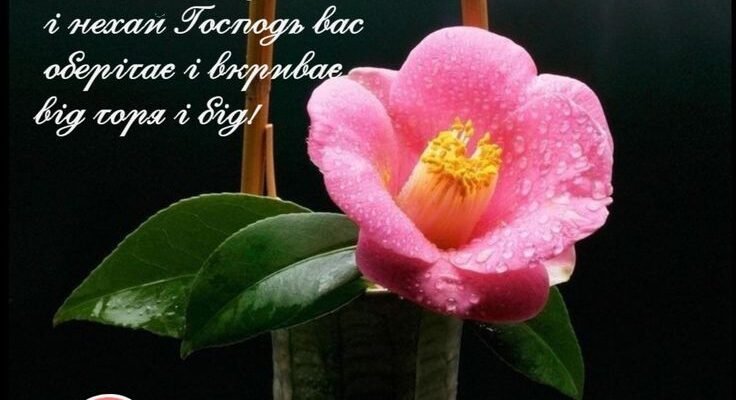 Моя дорога та сама чудова свекруха, вітаю Вас з днем народження