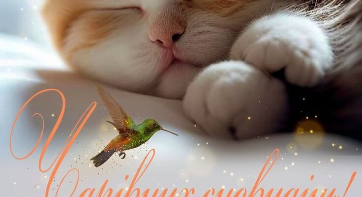 Моя люба, у світі сновидінь на тебе вже чекають