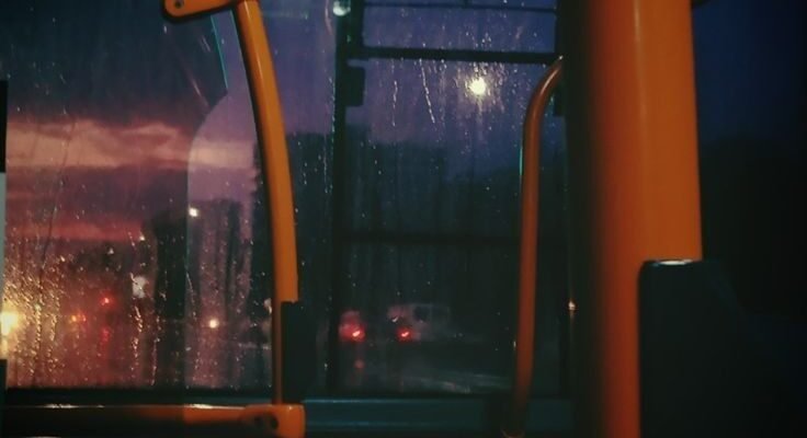 Моя любов, ти всіх дорожча