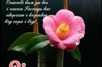 Моя вельмишановна свекруха, з днем народження!