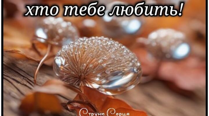 Мила бабуся! Бажаю, щоб твоя душевна доброта була невичерпною