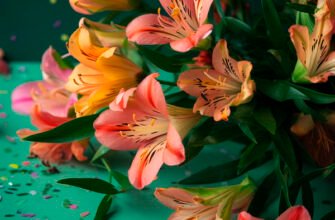 Мила хрещенице, вітаю тебе з днем народження