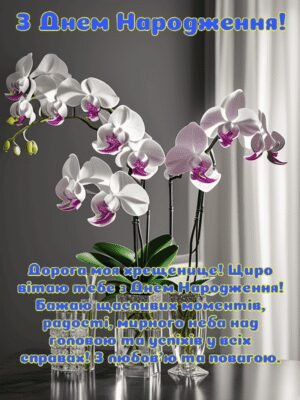 Мила хрещенице, з днем народження!
