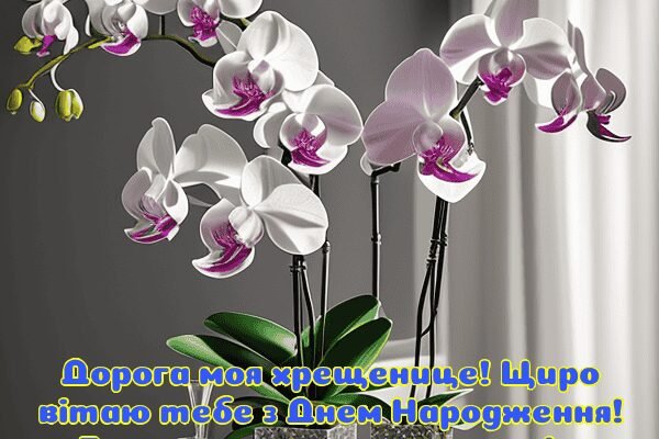 Мила хрещенице, з днем народження!