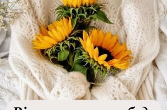 Мила моя, ти стала для мене щастям і удачею