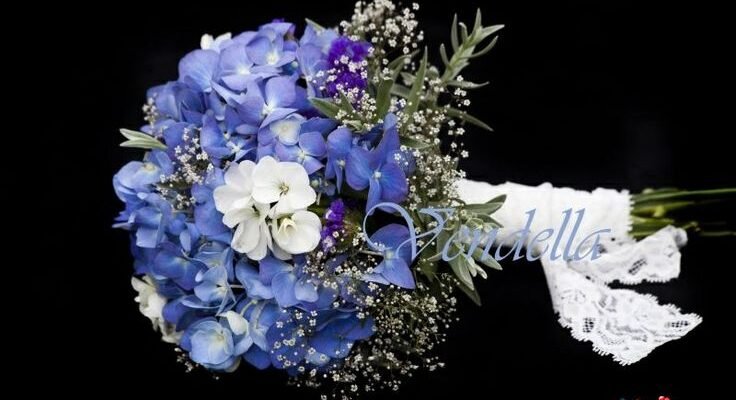 Мила наша красуня! Ти — немов ніжний бутон