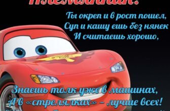 Мила племіннице, вітаю тебе з Днем народження!