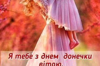 Мила сестричка, ти сьогодні сама красива і чудова наречена