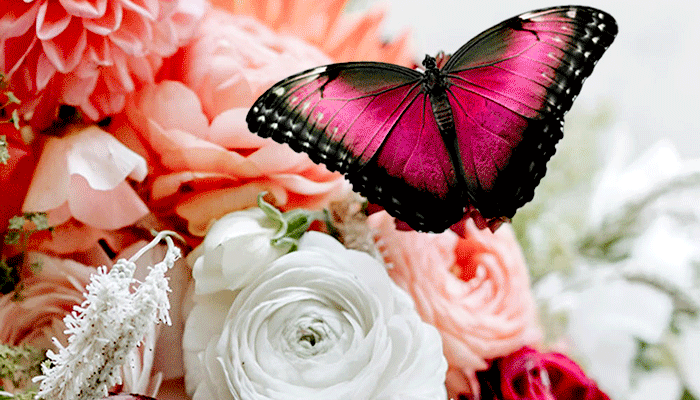 Милу і чудову мою тещу вітаю з днем народження