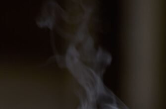 Настав чудовий час, в якому можна вибирати — відпочивати чи працювати