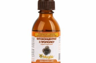 Як легко і правильно зробити настоянку прополісу на спирту вдома