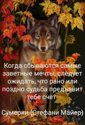 Нехай кожен із нас буде наче гірський орел