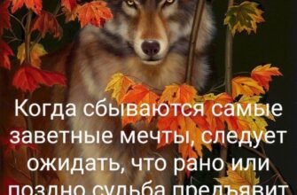 Нехай кожен із нас буде наче гірський орел