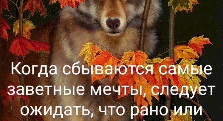 Нехай кожен із нас буде наче гірський орел