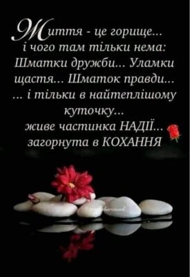 Нехай любов і ніжність обдарує кожну людину