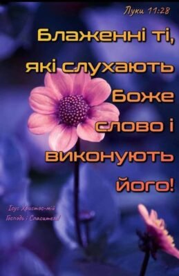 Нехай мир і благополуччя супроводжують Вас