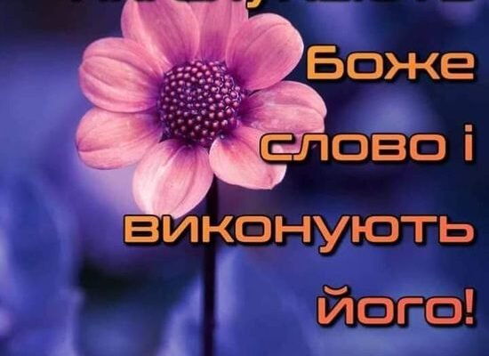 Нехай мир і благополуччя супроводжують Вас