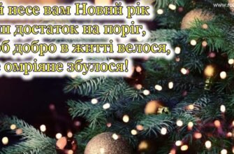 Нехай Новий рік подарує впевненість у завтрашньому дні